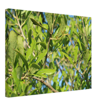 Load image into Gallery viewer, Leaves Background on Canvas