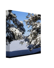 Load image into Gallery viewer, Snow Covered Trees