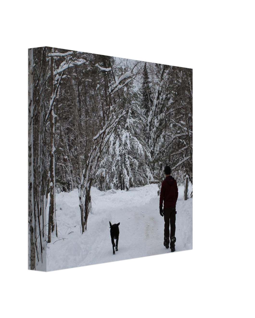 Man and Dog in Snow