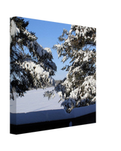 Load image into Gallery viewer, Snow Covered Trees
